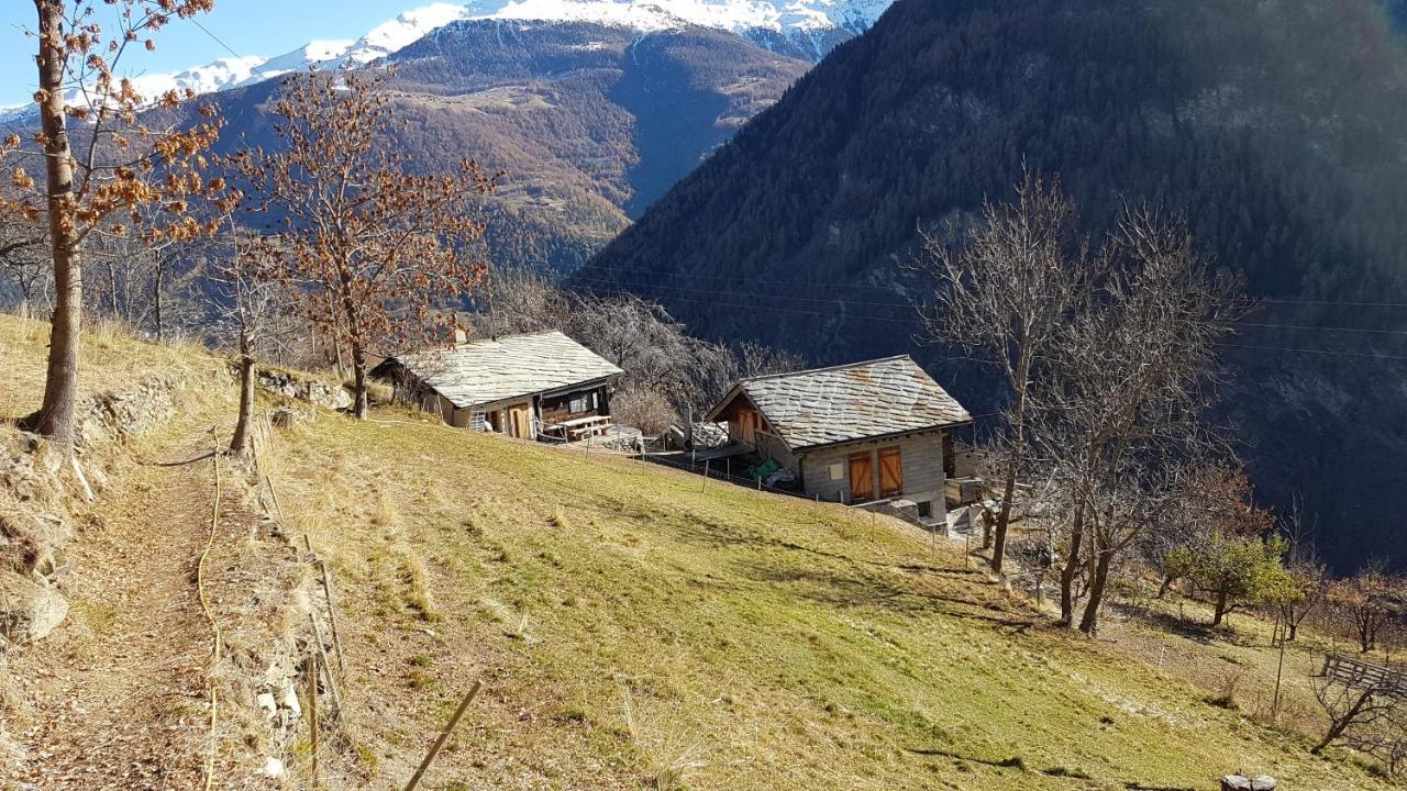 Chalet La Paz With Hotpot And Sauna Villa Törbel Exterior foto
